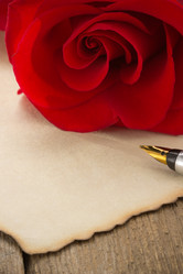 Similar image 20230851