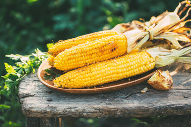 Similar image 20297362