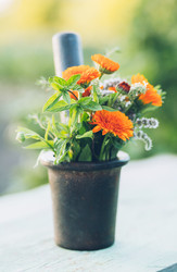 Similar image 20297363