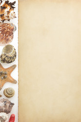 Similar image 20229363