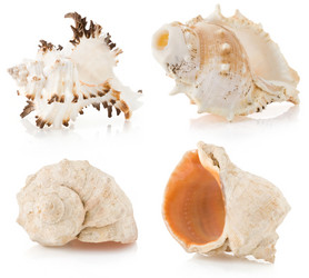 Similar image 20229594