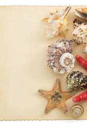 Similar image 20229595