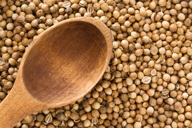 Similar image 20229939