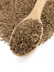 Similar image 20230122