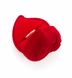 Similar image 20229080