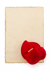 Similar image 20229123