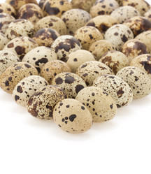 Similar image 20229500