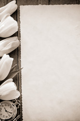 Similar image 20229677