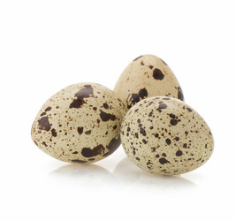 Similar image 20229741