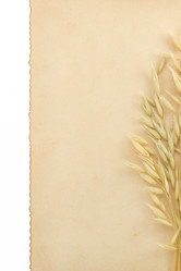 Similar image 20230085