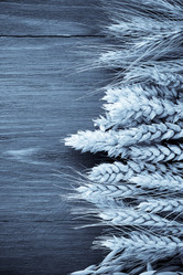 Similar image 20230086