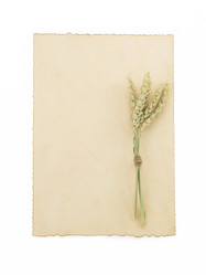 Similar image 20230193