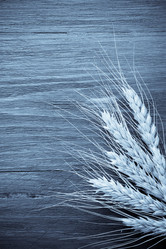 Similar image 20230646