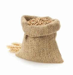 Similar image 20230717