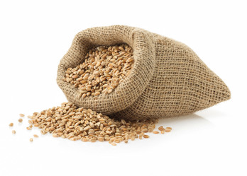 Similar image 20230803