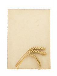 Similar image 20229026