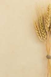 Similar image 20229045