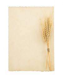 Similar image 20229219