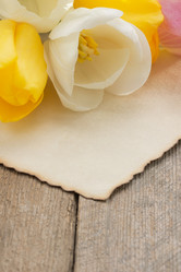 Similar image 20229447