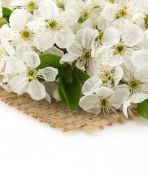 Similar image 20229545