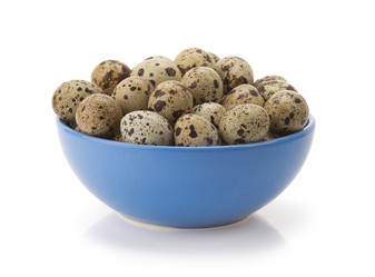 Similar image 20229680