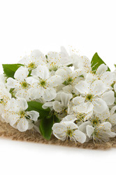 Similar image 20229709