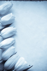 Similar image 20229720