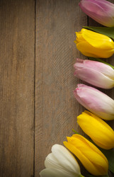 Similar image 20230220