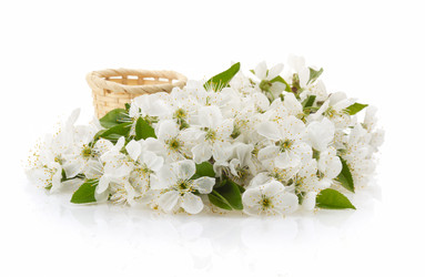 Similar image 20230226