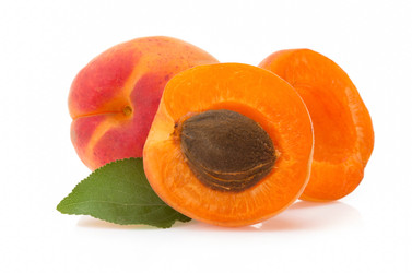 Similar image 20230287