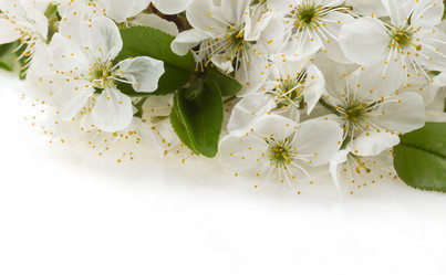 Similar image 20230310