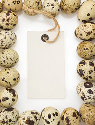 Similar image 20230311