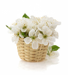 Similar image 20230343