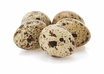 Similar image 20230344