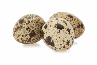 Similar image 20230346