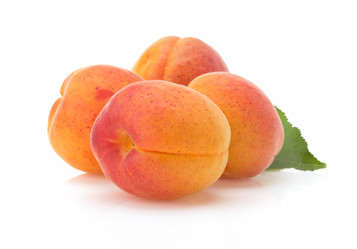 Similar image 20230404