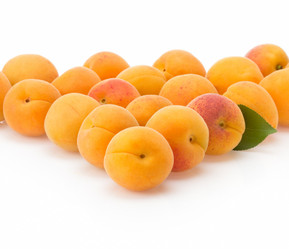 Similar image 20230446