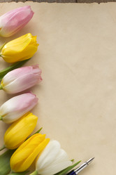 Similar image 20230726