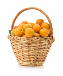 Similar image 20230804