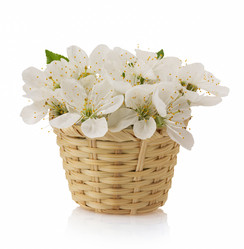 Similar image 20230839