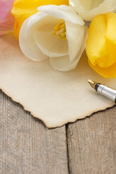 Similar image 20230908