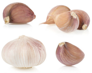 Similar image 20229049