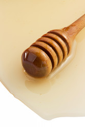 Similar image 20229153