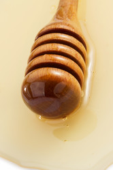 Similar image 20229220