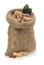 Similar image 20229663