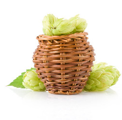 Similar image 20229724