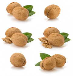 Similar image 20229791