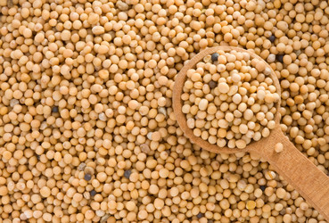 Similar image 20230030