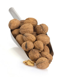 Similar image 20230292