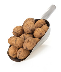 Similar image 20230313